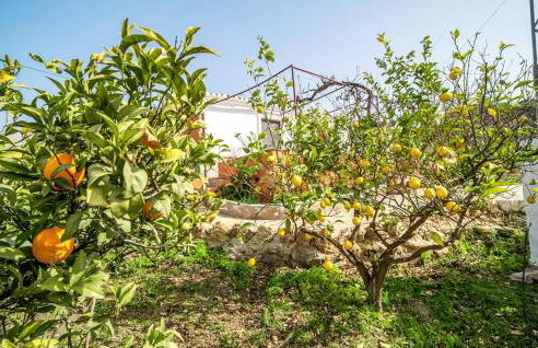 Casa rural Antonio y Esperanza - Foto 19