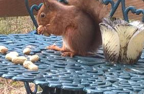 The Shack, Cally Avenue, Gatehouse of Fleet, Dumfries and Galloway, DG7 2 DH - Foto 10