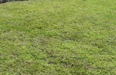 Il Rio Grande - Foto 10