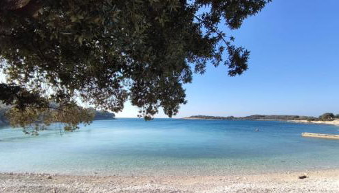 Romantic Apartment Flower - Photo 4