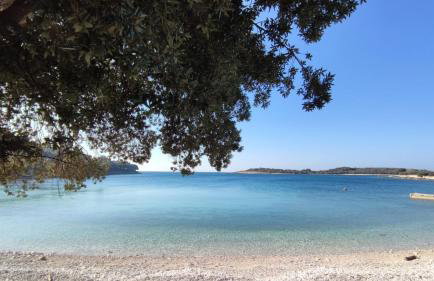 Romantic Apartment Flower - Photo 4