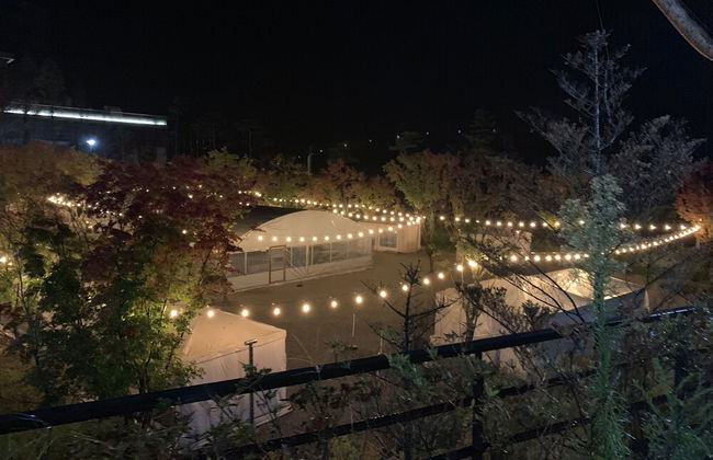 Pine Forest - Photo 30