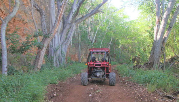 Recorreremos bosques y senderos