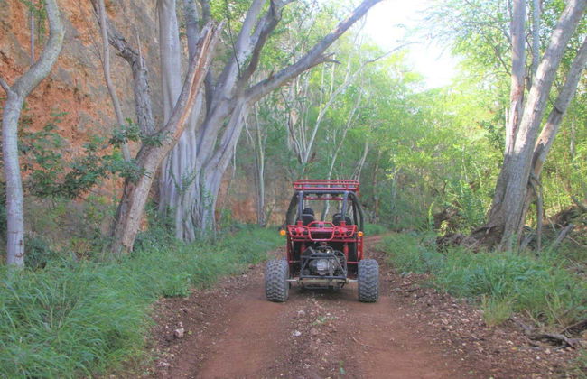 Tour en buggy por Kapolei - Foto 5