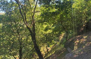 Sobreiro Valley - Casa Firmino - Foto 30