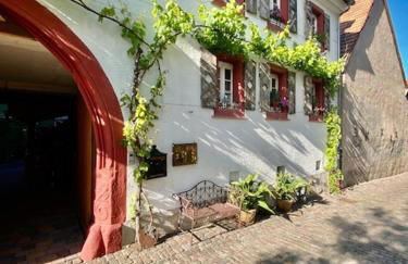 Phönix aus der Asche - Foto 26