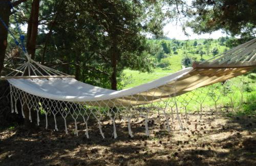 Widokówka - Foto 56