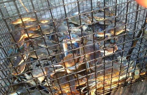 St Johns River Retreat Unit 2 - Foto 27