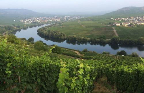 Moselschön Comfortable holiday residence - Foto 15