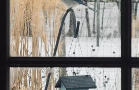 The Tannery House - Foto 14