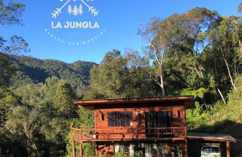 Propriedade inteira e Kombi-home em meio à mata - Foto 23