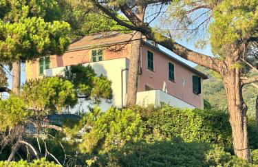 Giardino in villa Margherita - Foto 65