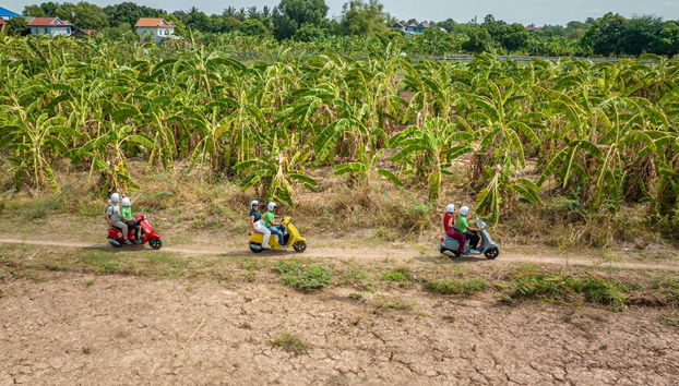 Nei campi dell'Isola della Seta