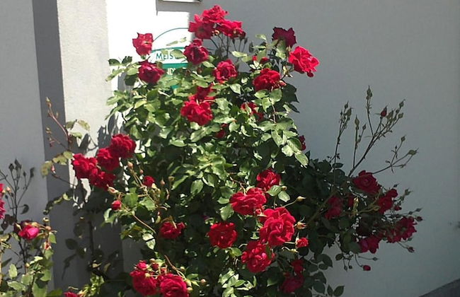 Schnatterhof - Photo 42