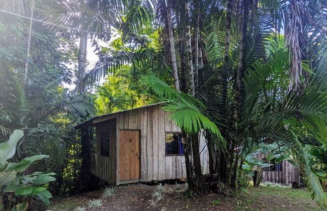 Citronela Lodge Corcovado - Foto 37