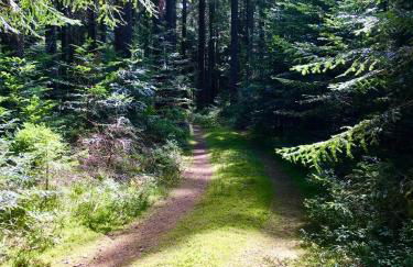 Blackforest Apartment - Foto 46