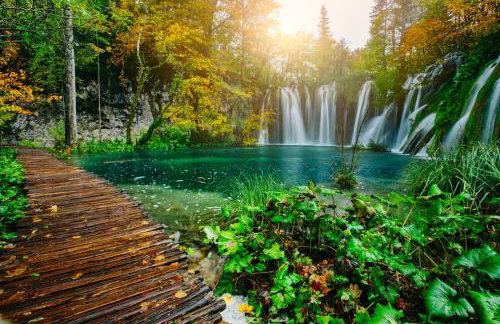 Apartments Božić - Foto 18