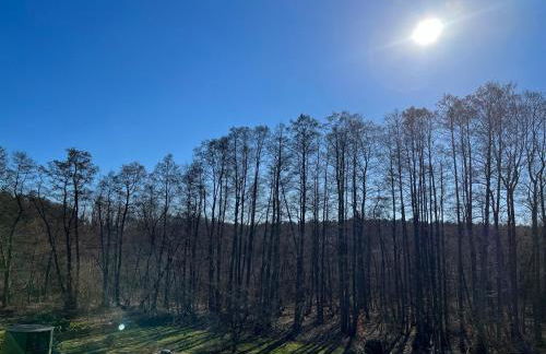 Erholungs- und Freizeithaus Neu Sammit - Foto 58