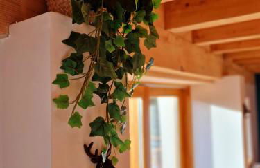 Gîte du Mont d'Air 4 étoiles, au cœur du massif vosgien, bain nordique - Foto 46