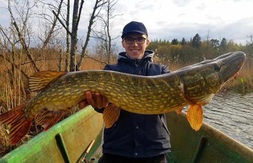 Mazurski Domek Papy Smerfa plaża pomost jezioro prywatny staw gospodarstwo pasieka - Foto 29