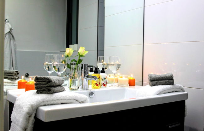 Maltese Maltese - Foto 47