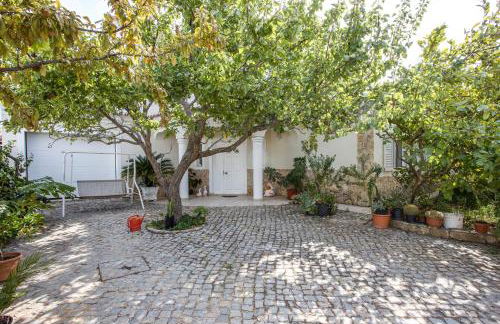 Casa das Romanzeiras - Foto 29