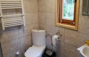 Noclegi nad stawami wypożyczalnia kajaków i rowerów - Foto 8