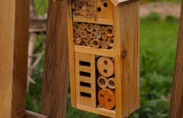 Po Prostu Dobro - Foto 28