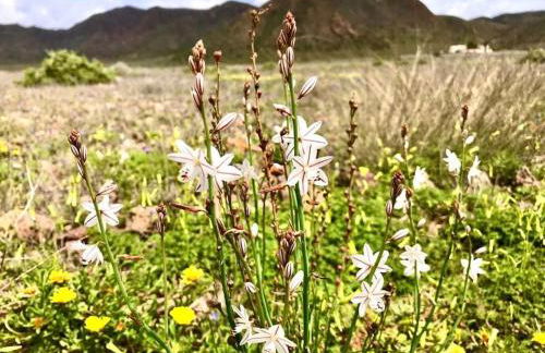 Beachside retreat in Cabo de Gata Natural Park - Foto 26