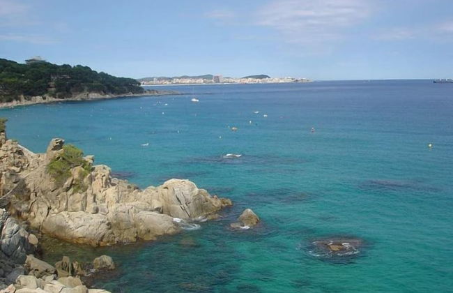 Apartamento Los Pinos 86 - Foto 12