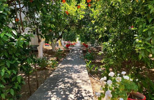 CottonClub Villas - Foto 37