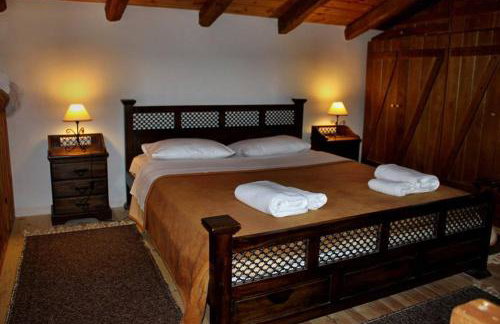 Petrina Theohari - Foto 7