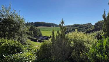 Wunderschöne Eifel-Ferienwohnung - Foto 3