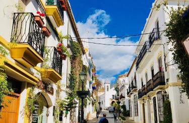 Duquesa Village (La Casa del Loonos) - Photo 66