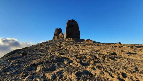 la palmilla - Foto 3