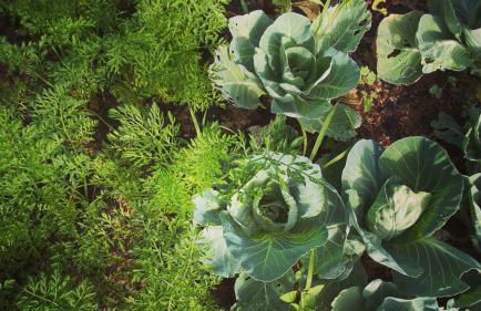 Villa Cary - Foto 27