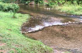 Casa Cachoeira Paraty - Foto 13