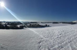 The Old Chapel - Photo 21