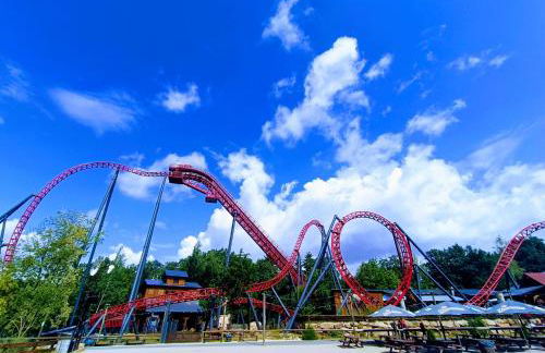 Wohlfühl-Apartment in Zwickau - Foto 22