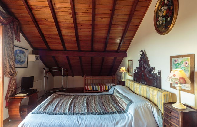 Shepinetree - Pinheira House - Foto 25