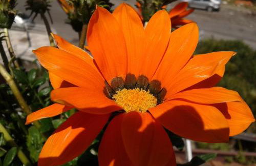 Antica Dimora Marinelli Cav Restaurant - Photo 22