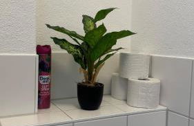 3 Zimmer Altbau nähe Hochschule mit Garten - Photo 16