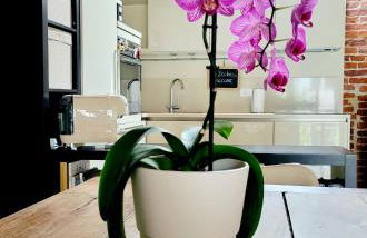 La Buschera - Foto 1