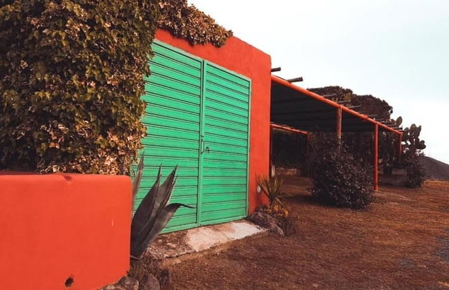 Tenuta Di Pontesodo - Foto 52