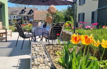 Gadenhaus-für Ferien&Business am Bodensee - Foto 43