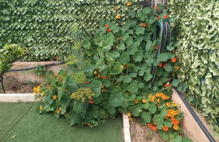 Escapada de ciudad al aire libre - Photo 33