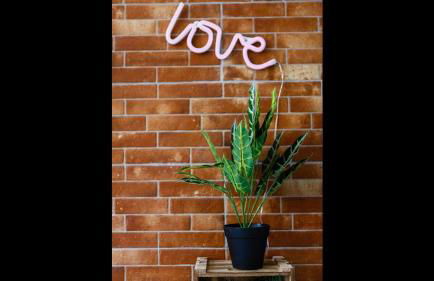 Apartamento semi-industrial palacio Castilla - Foto 15