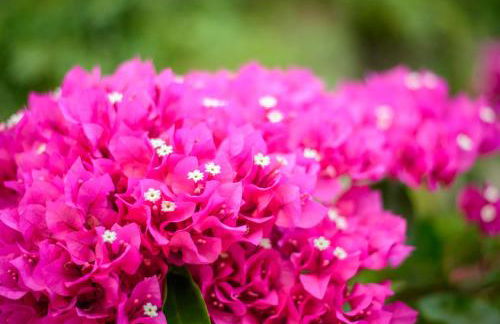 Evia Studios - Photo 34