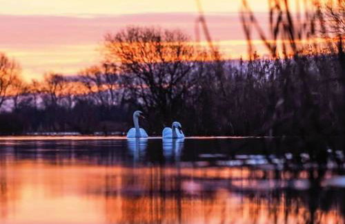 Castleford Cottage , Lowermill Estate - Photo 19