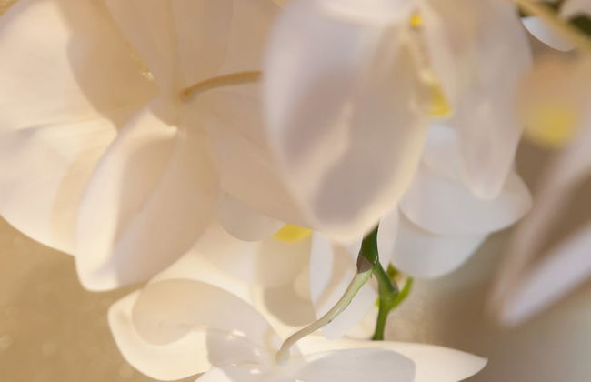 Quercia Belvedere Relais - Foto 35